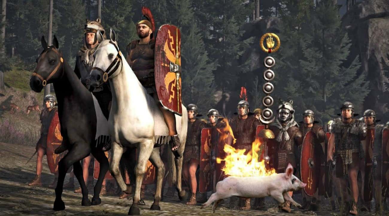 Animals In Warfare facts 