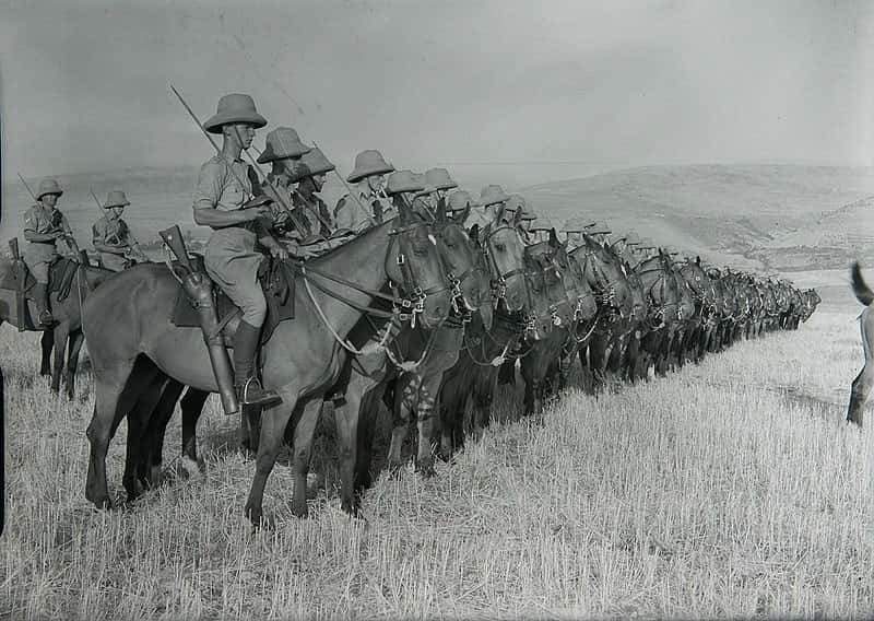 Animals In Warfare Facts