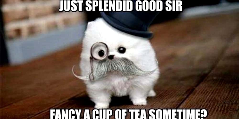  Plastic Surgery facts 