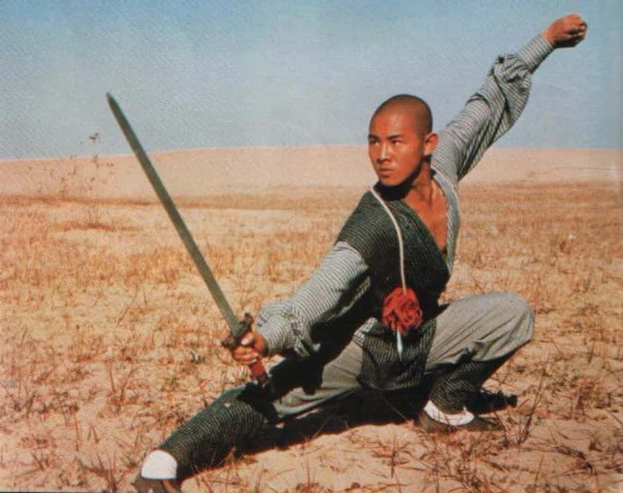 Kung Fu movies facts