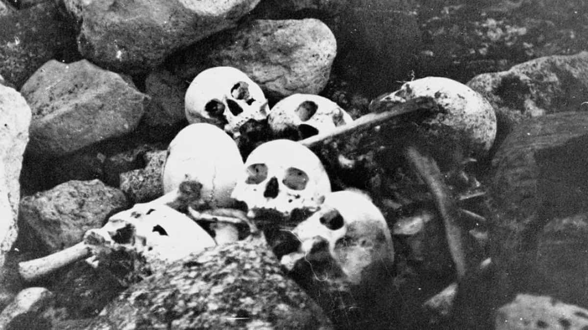 Franklin Expedition facts