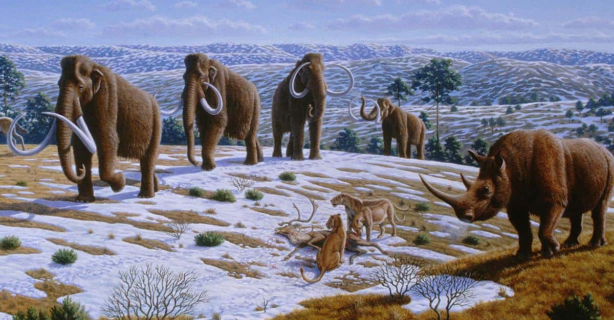 Prehistoric Beasts facts