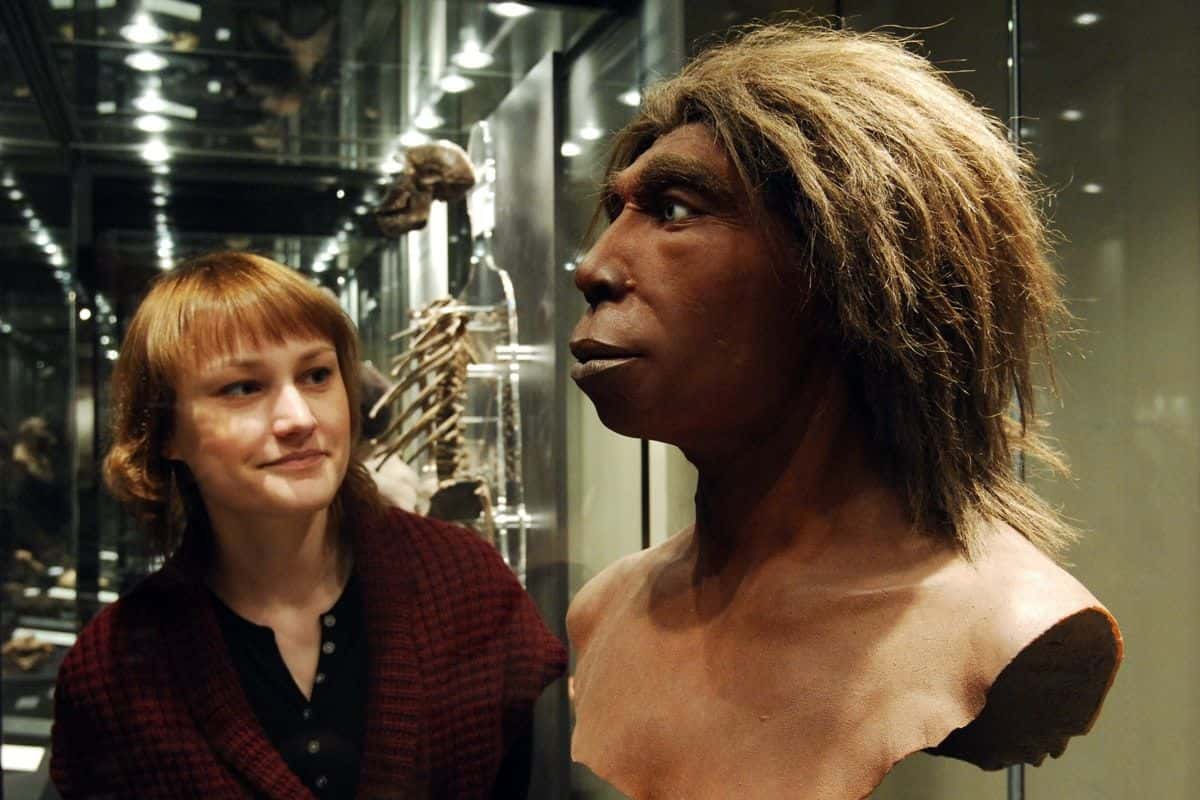 Life in the Universe Facts