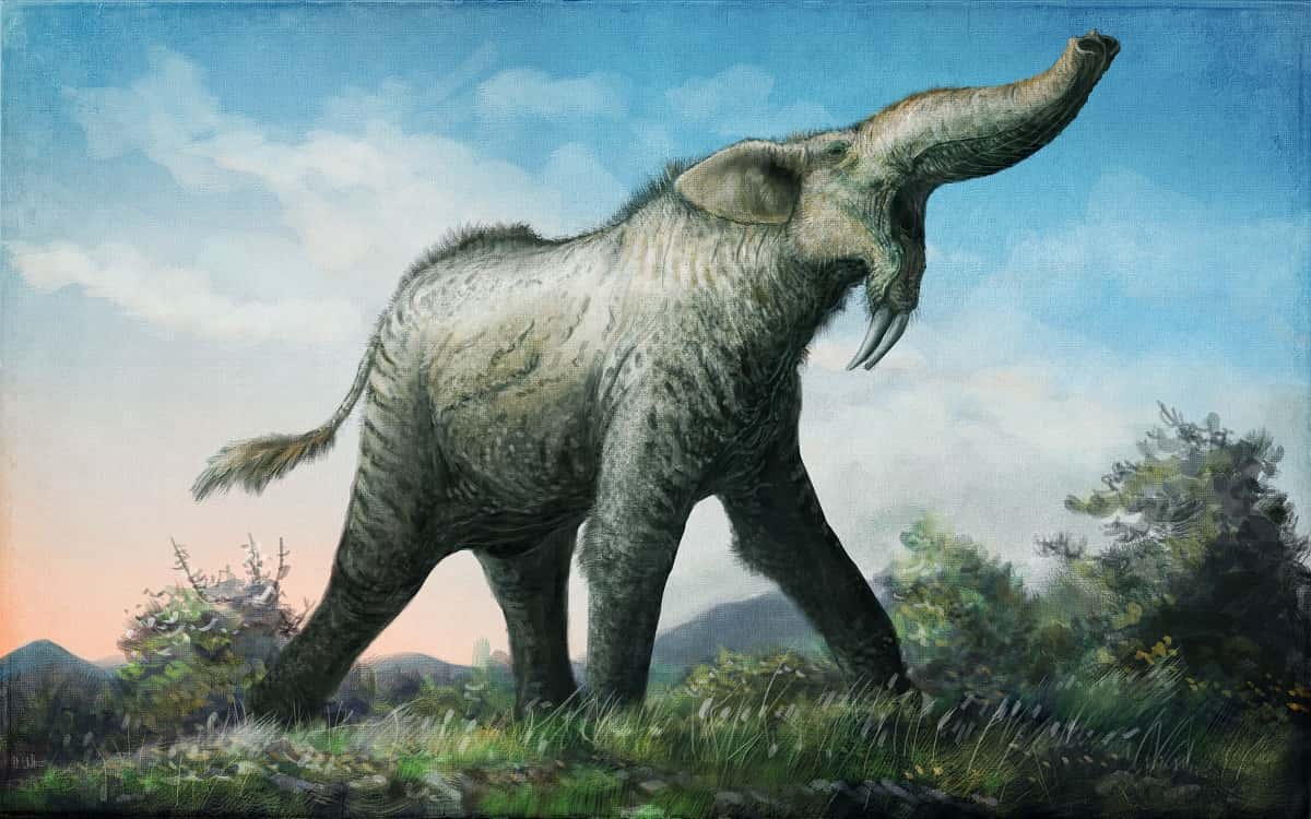 Prehistoric Beasts facts