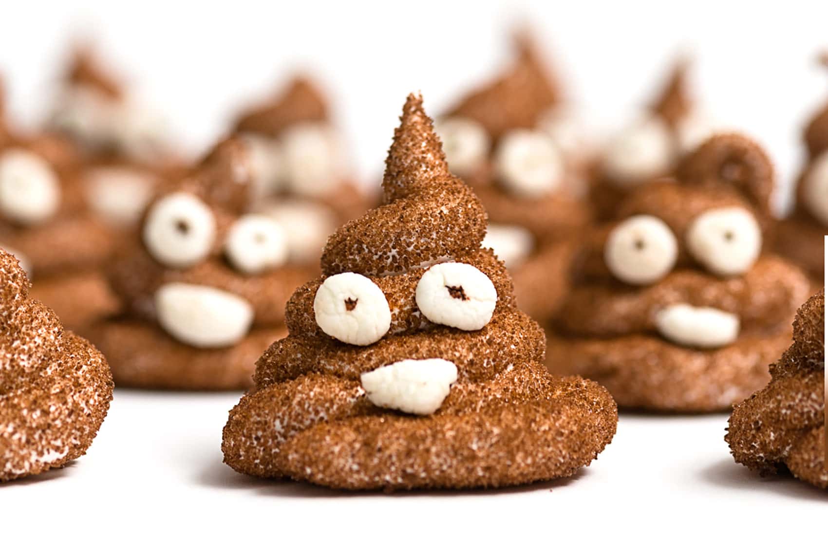 Beyond The Crypt facts