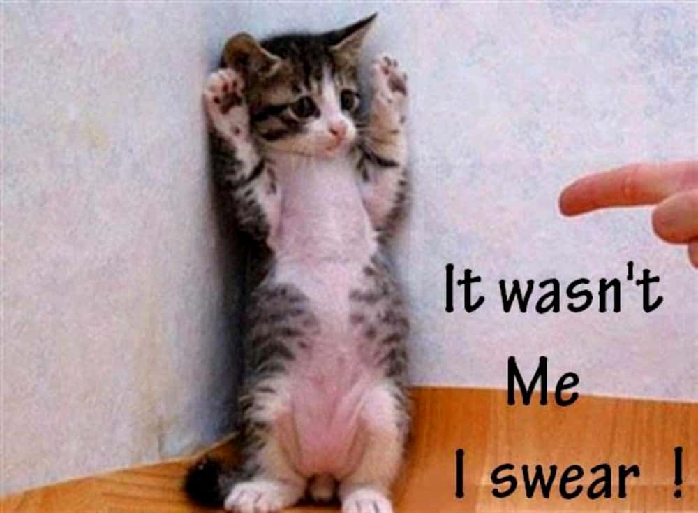 The Russian Tsars facts 