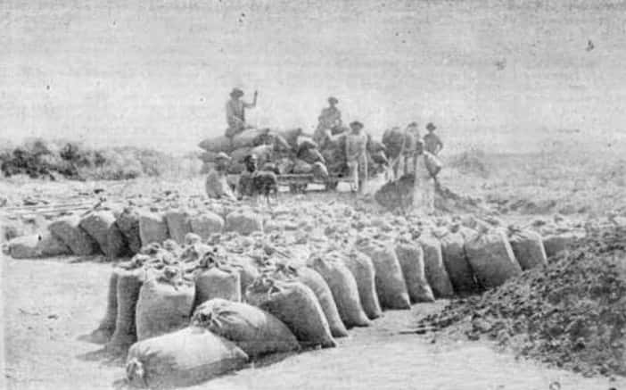 California Gold Rush Facts