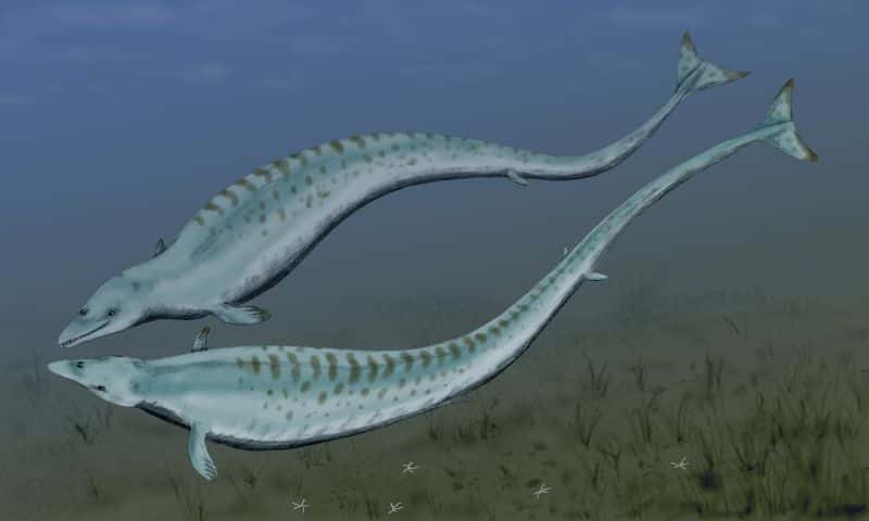 Prehistoric Beasts Facts