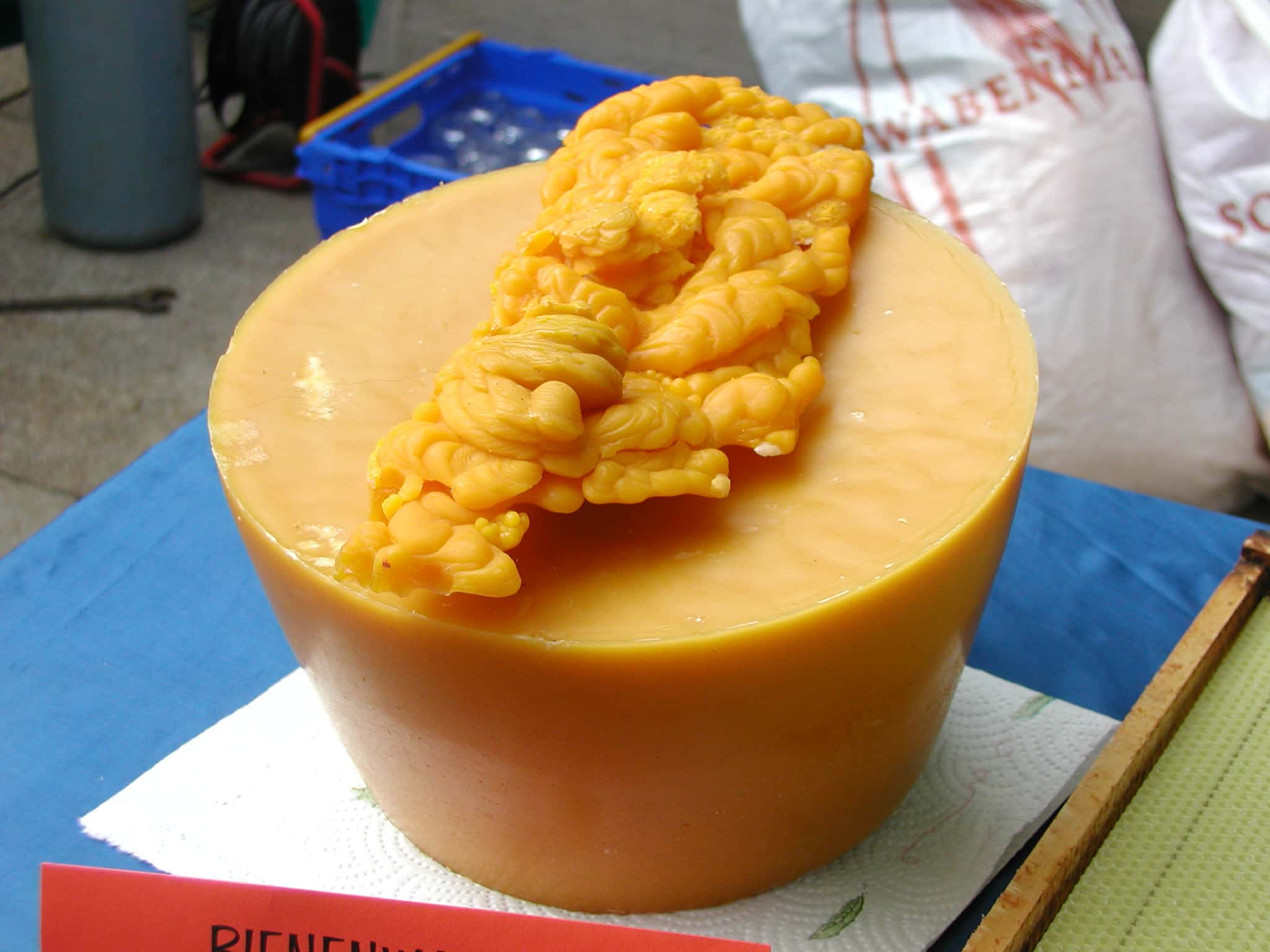 Plastic Surgery Facts