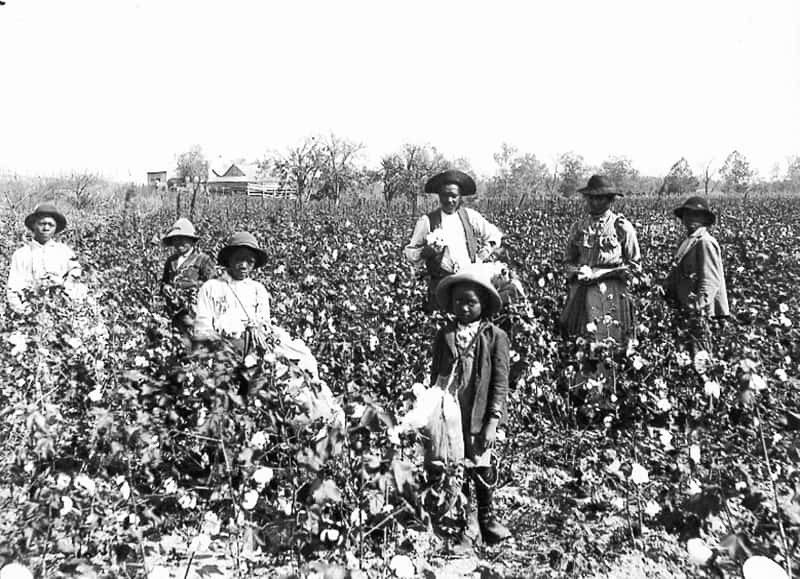 Antebellum South facts