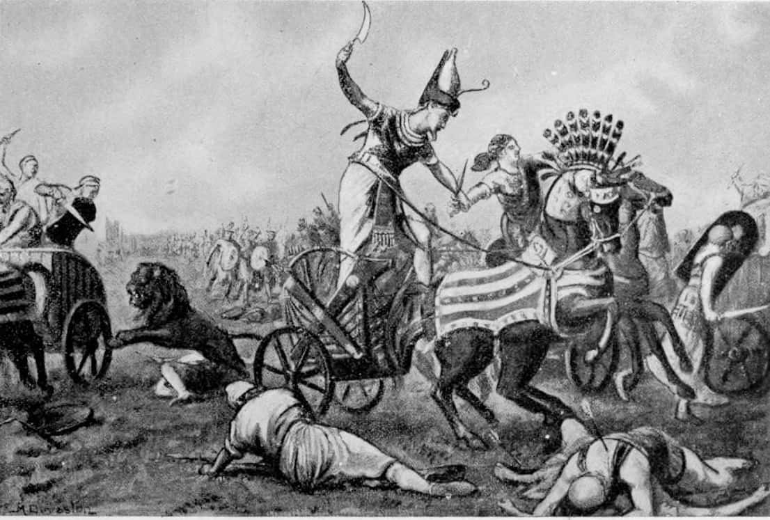 Animals In Warfare Facts