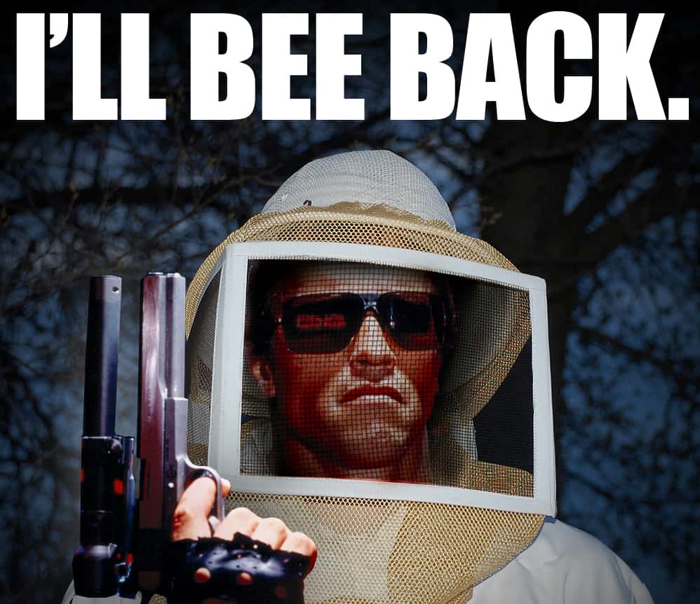 Animals In Warfare facts 