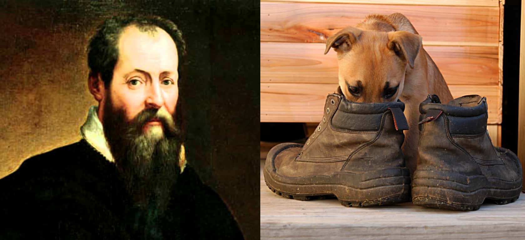 Eccentric Artists Facts