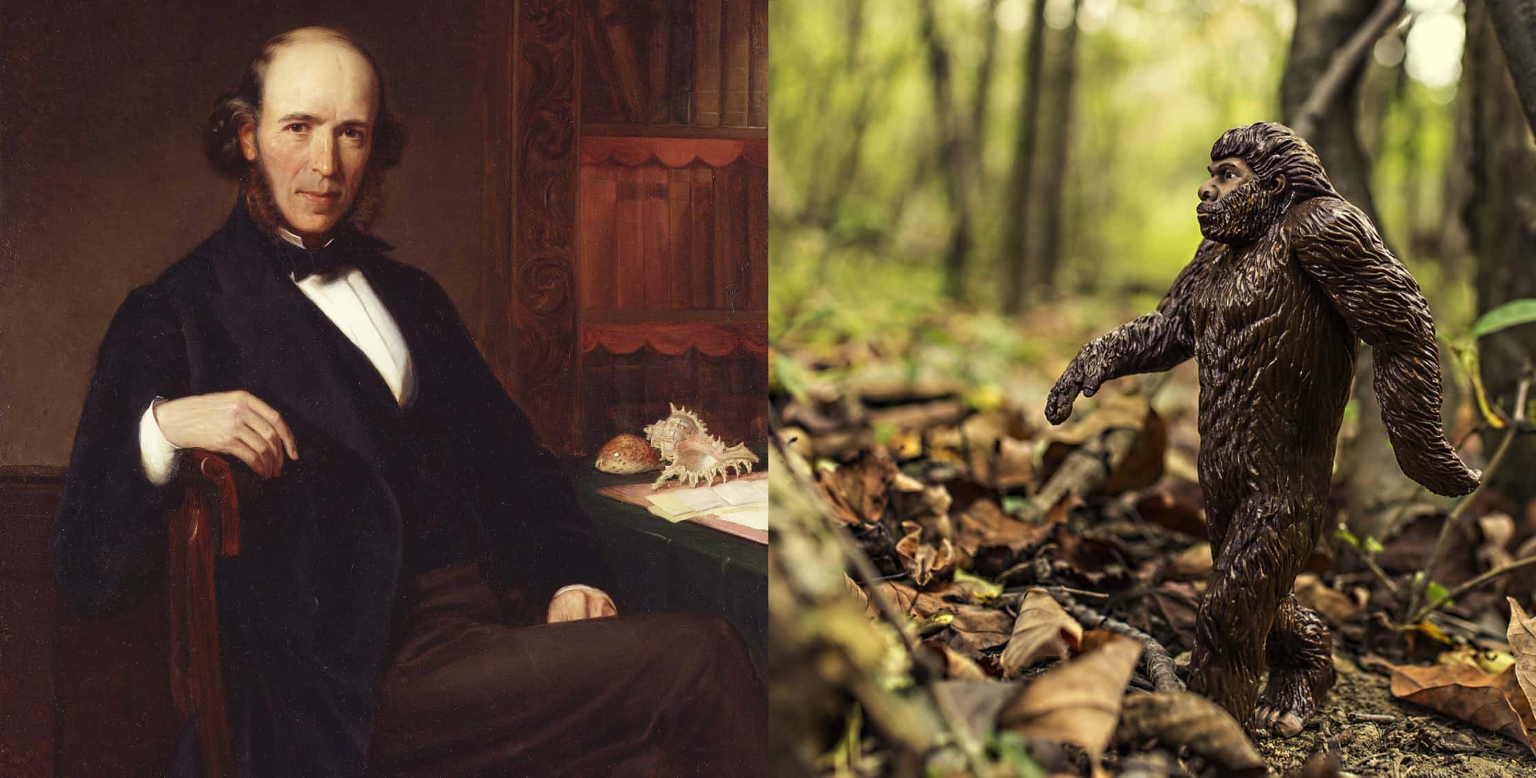 Life in the Universe Facts