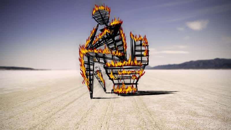 Burning Man facts