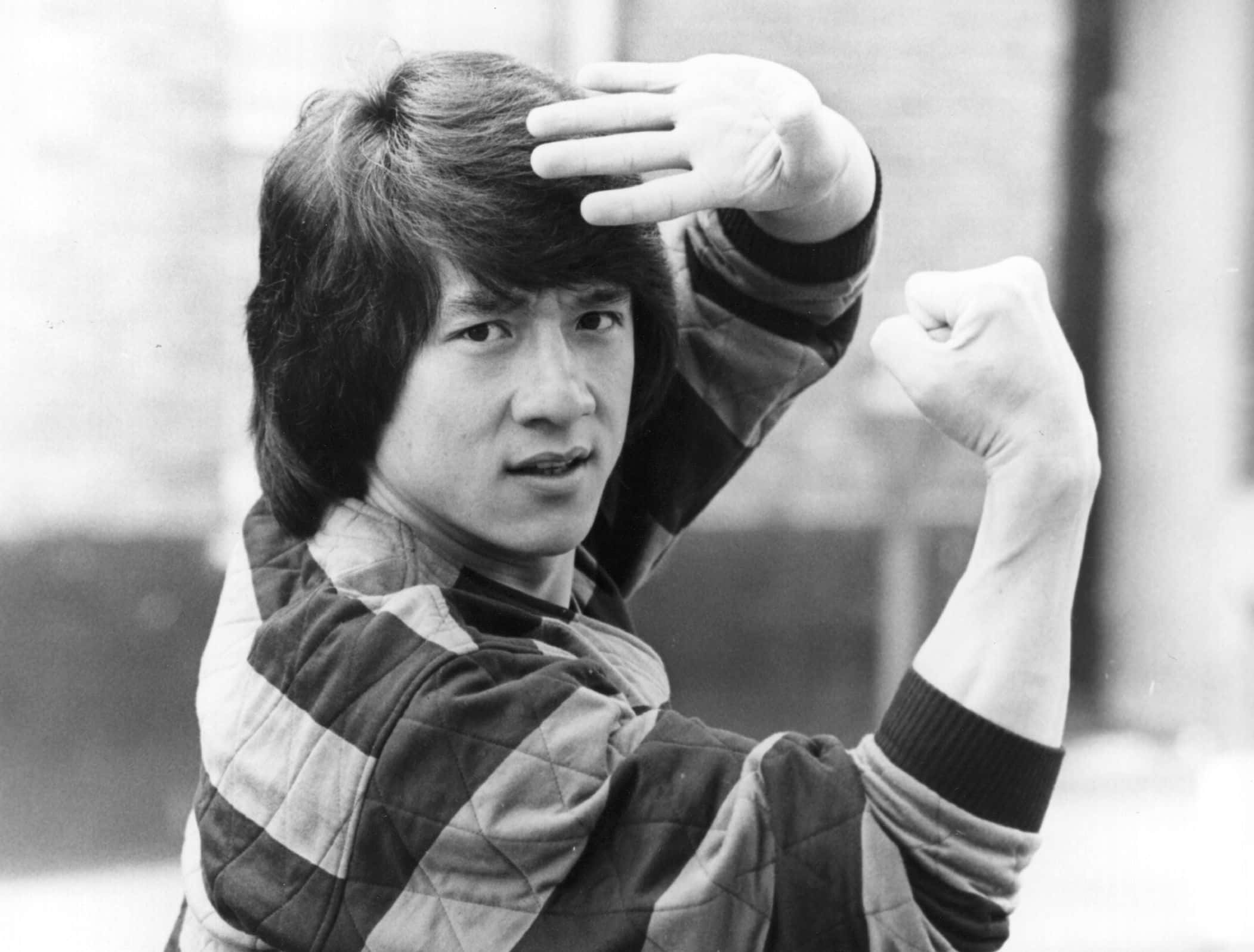 Kung Fu Movies facts