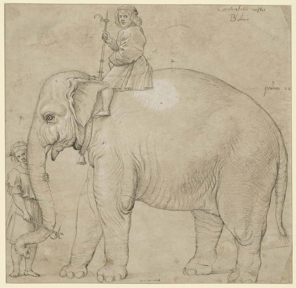 Hannibal Barca Facts