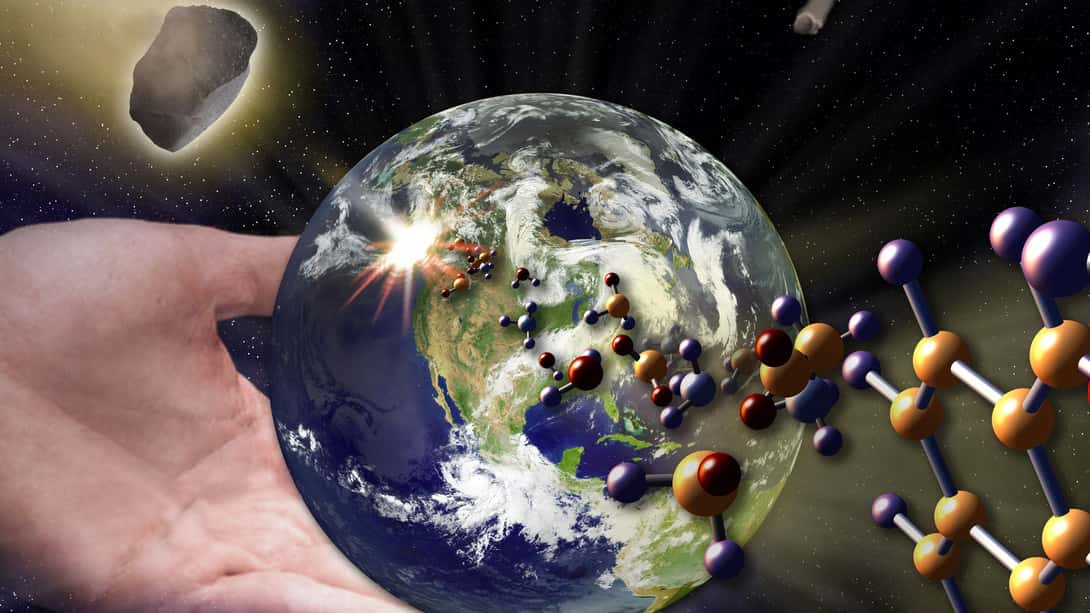 Life in the Universe Facts