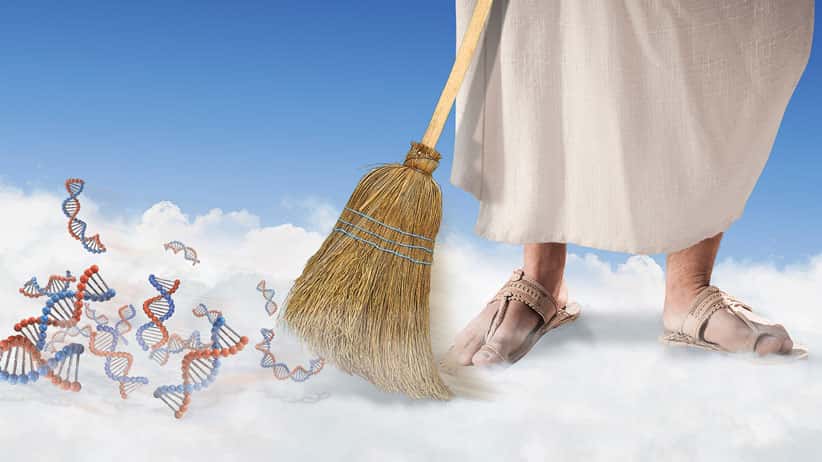 Life in the Universe Facts