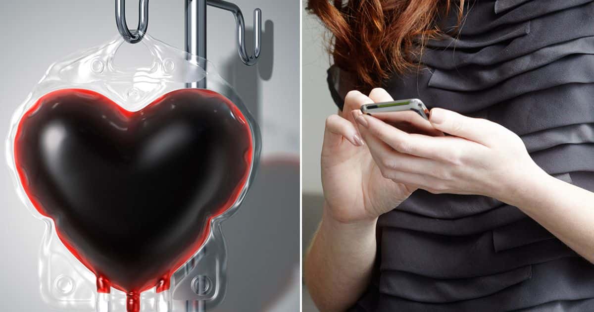 Curiosity-Quenching Random Facts