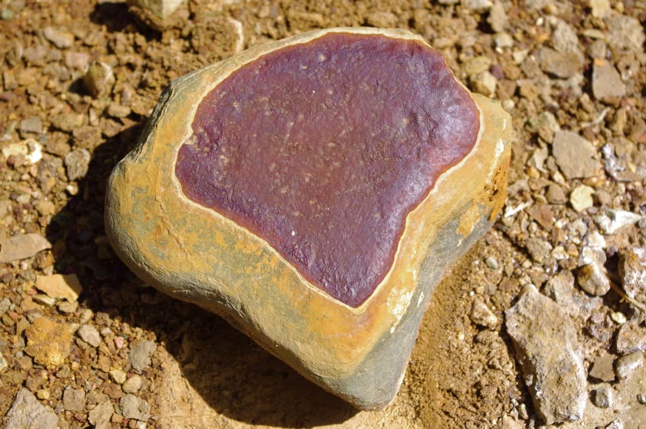 Life in the Universe Facts