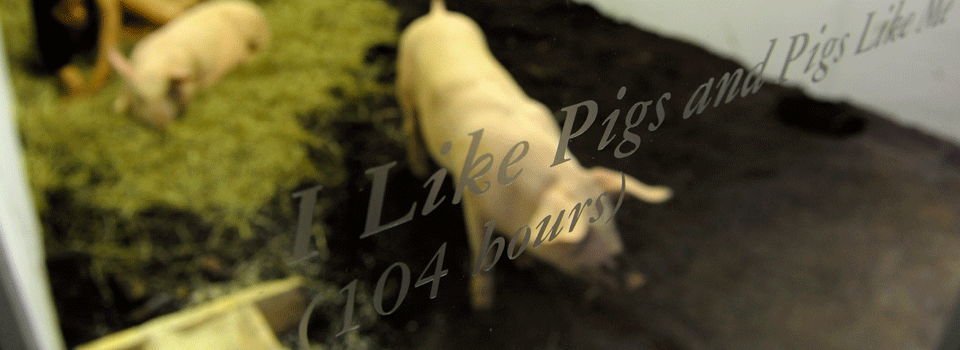 Creepy Art Installations Facts