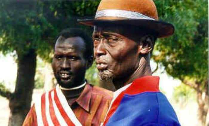 Tribal Chieftains Facts