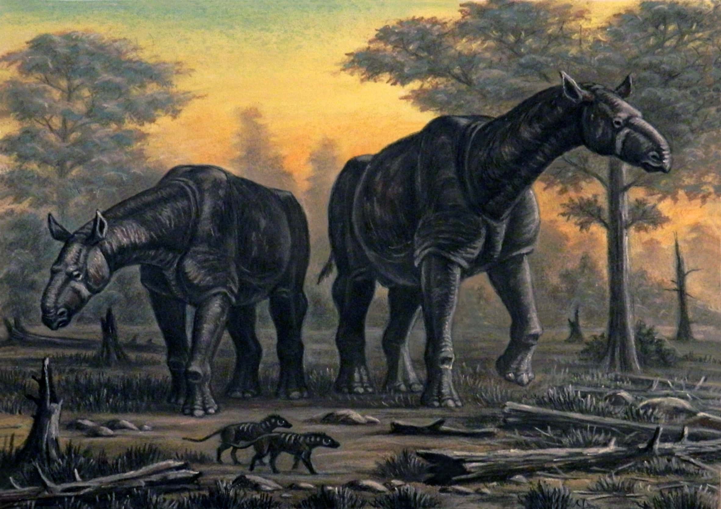 Deinotherium, Prehistoric Earth: A Natural History Wiki