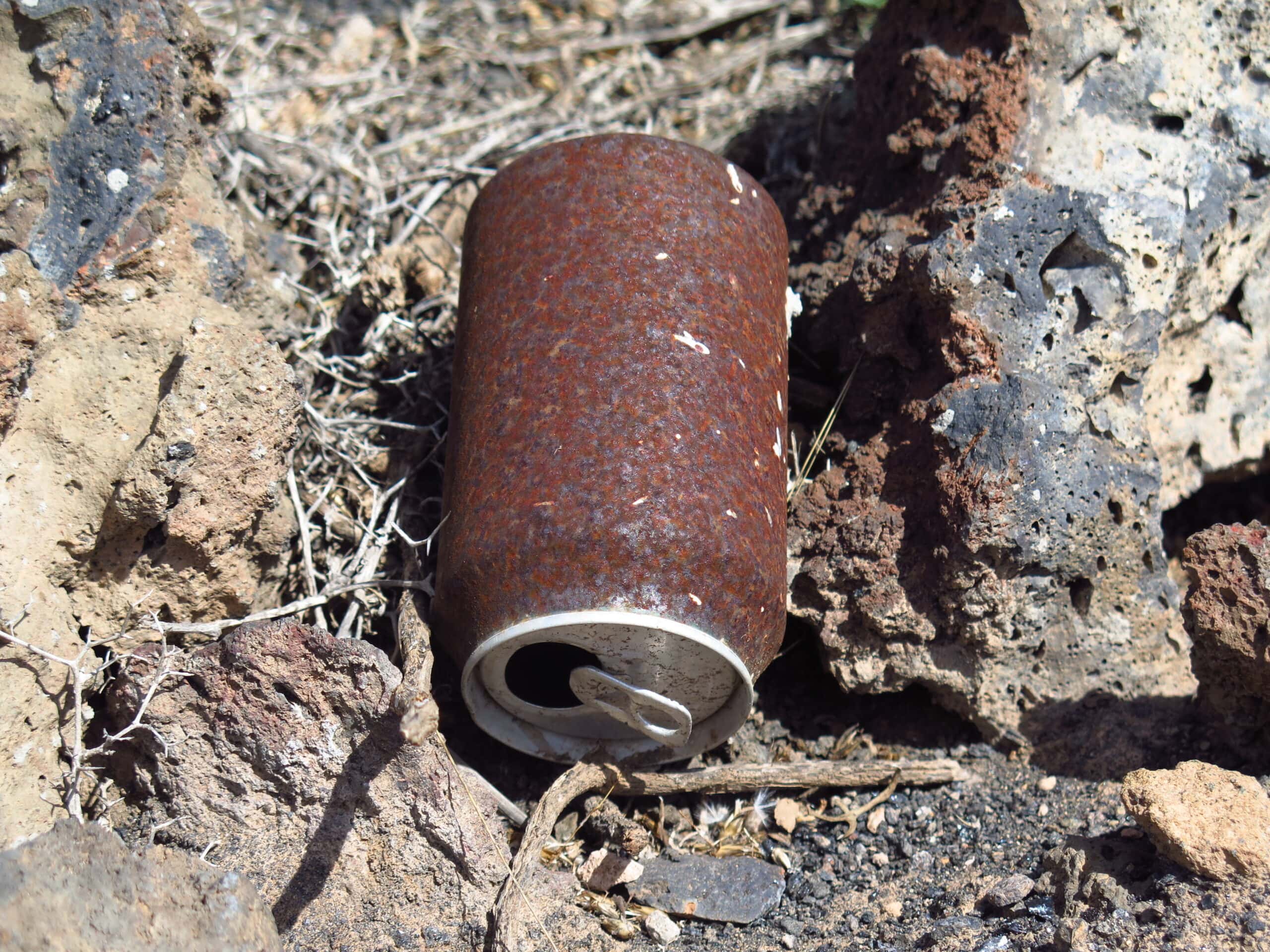 Franklin expedition Facts