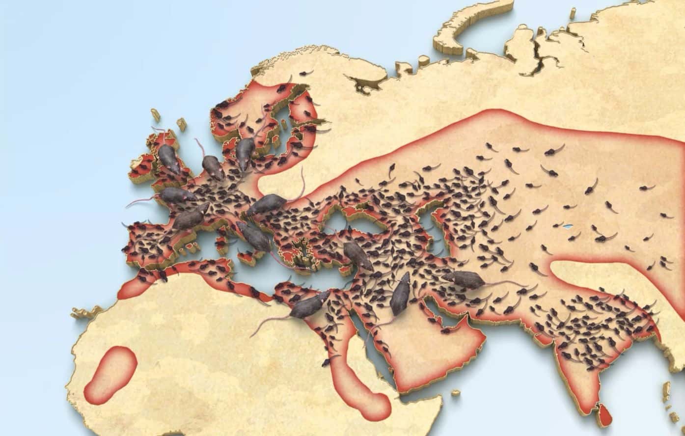 The Hundred Years' War Facts