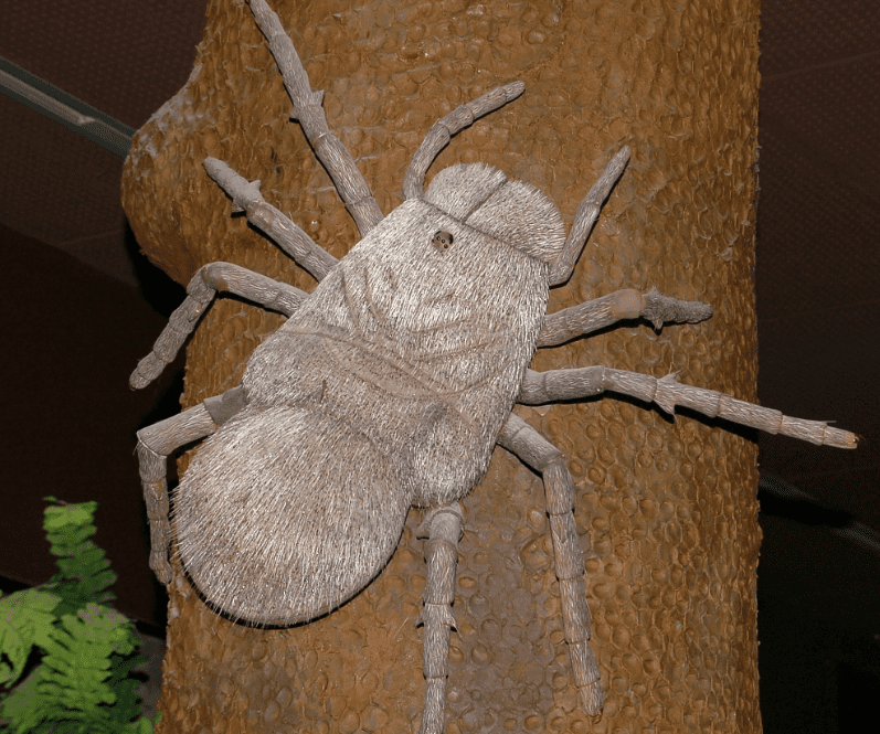 Prehistoric Beasts Facts