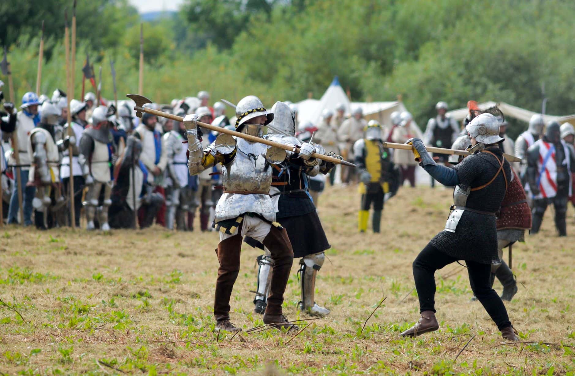 The Wars Of The Roses facts 