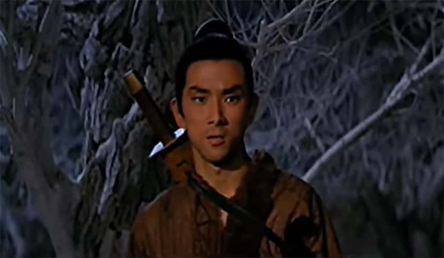 Kung Fu Movies facts 