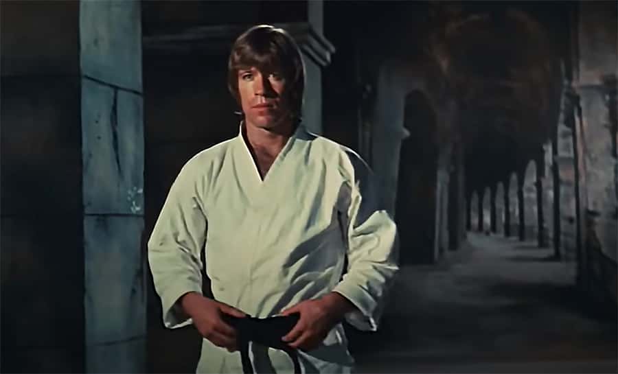 Kung Fu Movies facts