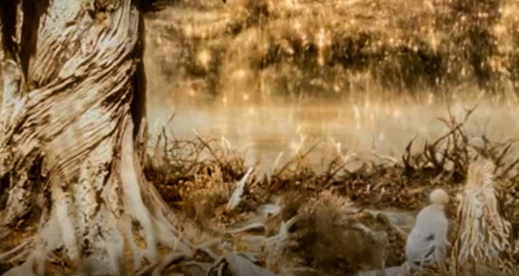 Special Effects facts 