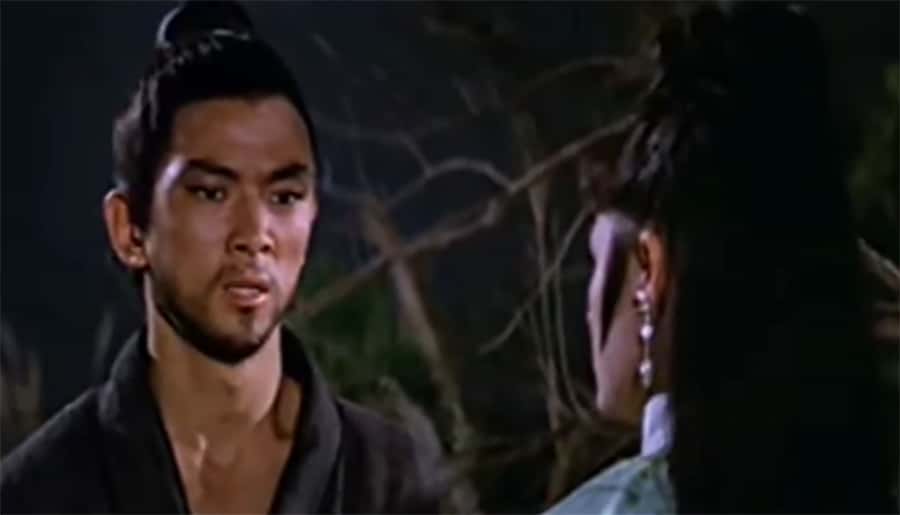 Kung Fu Movies facts 