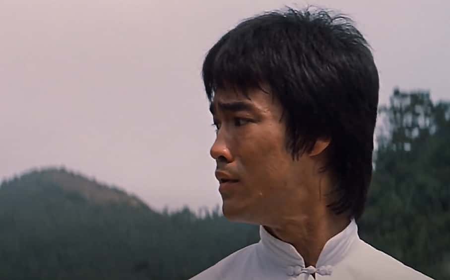 Kung Fu Movies facts 