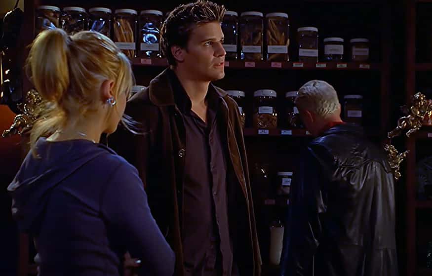 Spike From Buffy The Vampire Slayer facts 