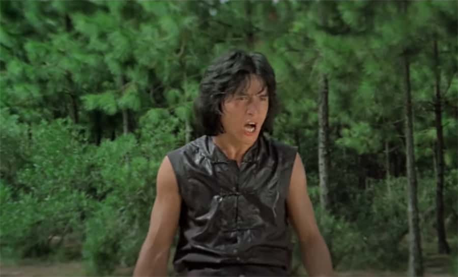 Kung Fu Movies facts