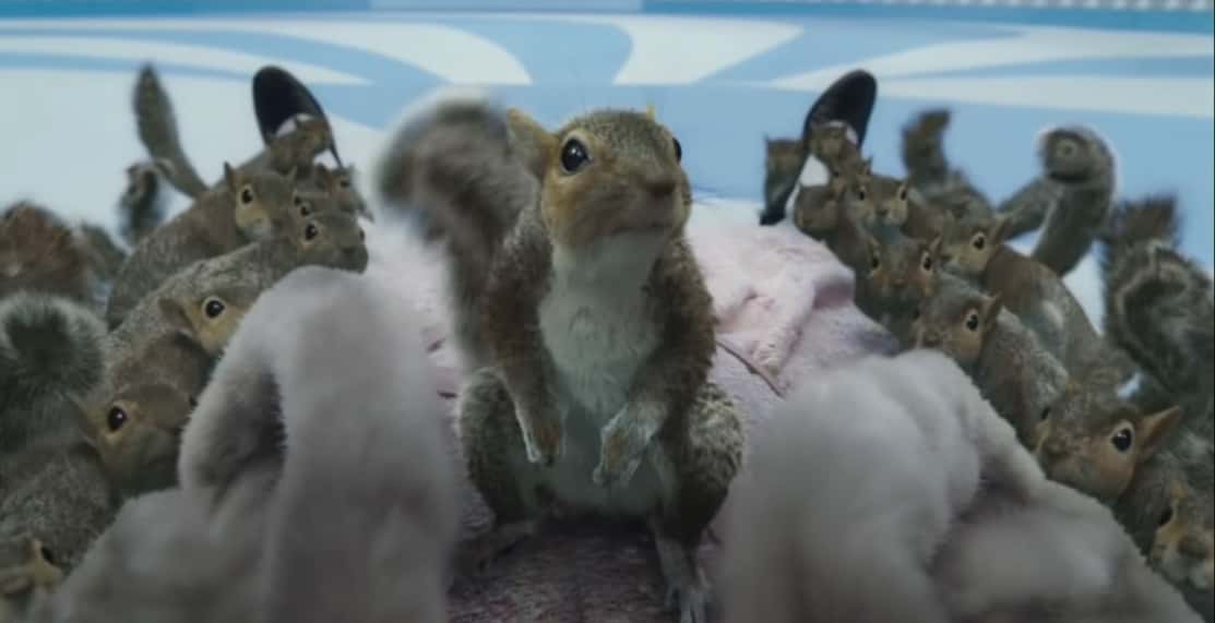 Charlie And The Chocolate Factory facts