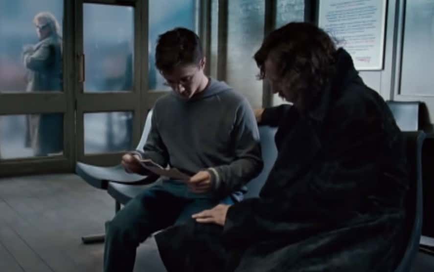  The Order of the Phoenix Facts