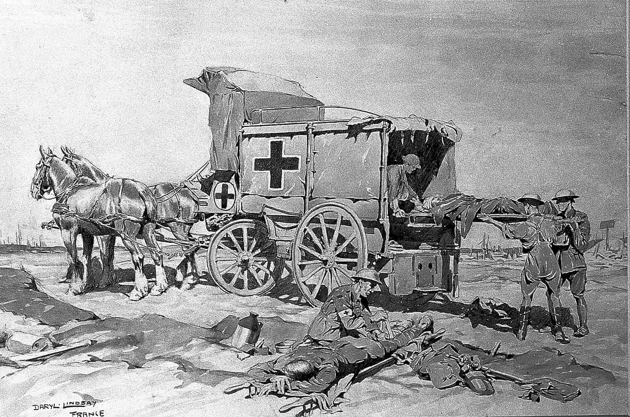 Animals In Warfare Facts