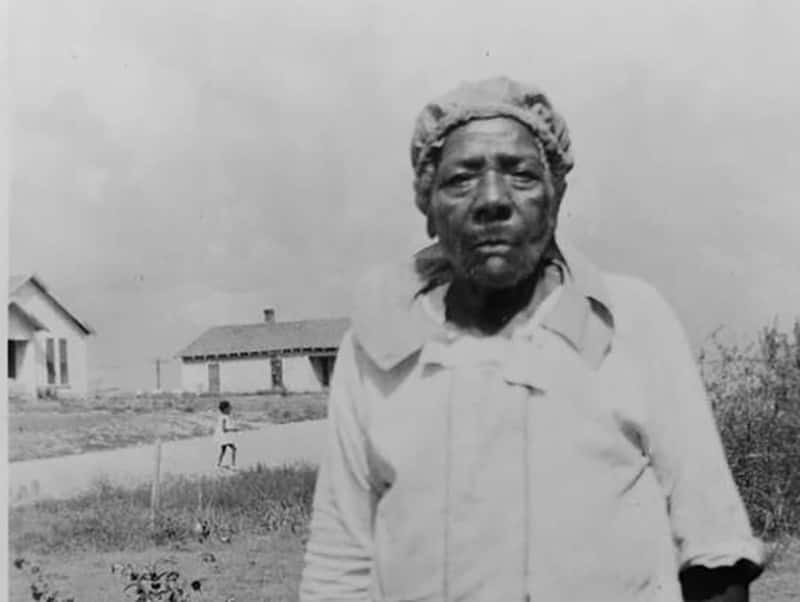 Antebellum South facts