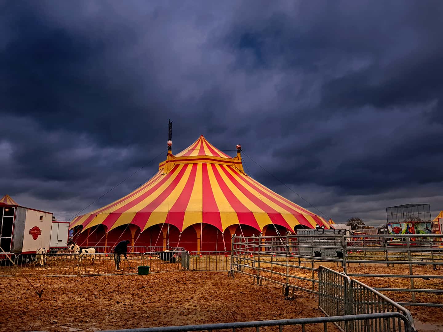 Circus Facts