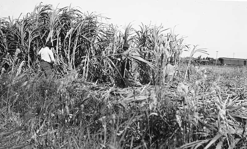 Antebellum South facts 