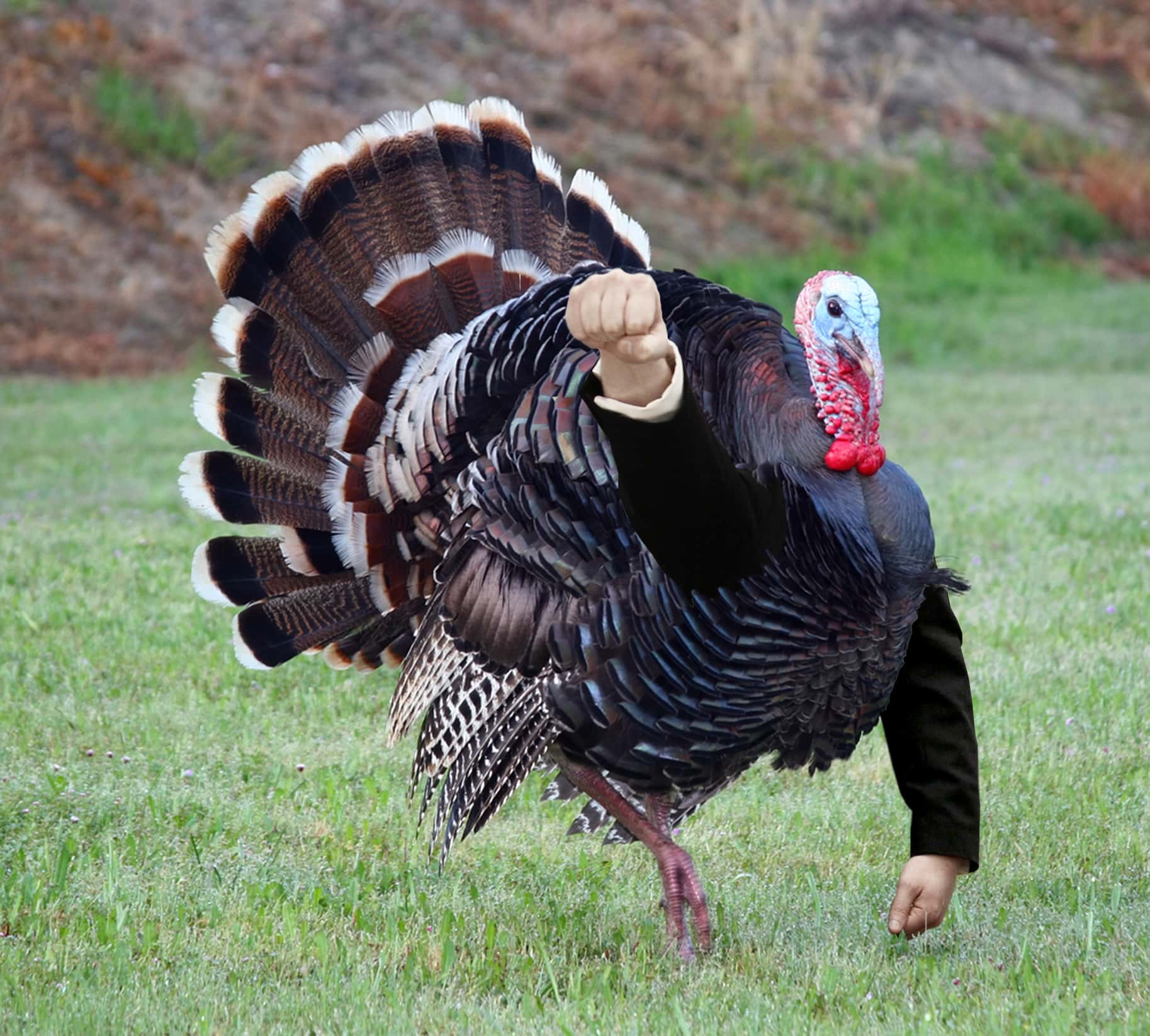 History of Broadcasting facts