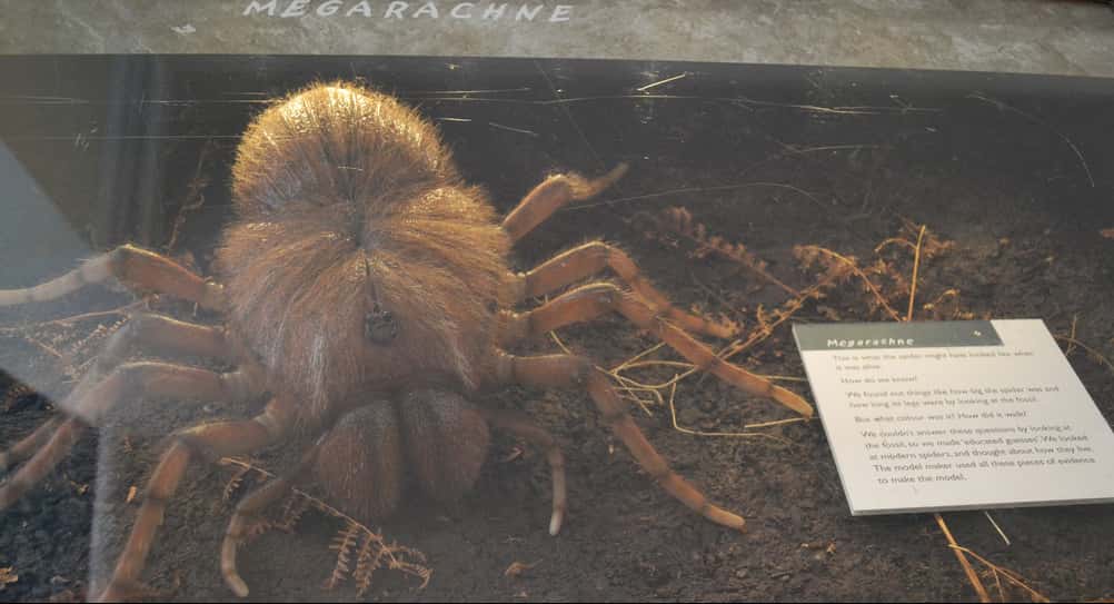 Prehistoric Beasts facts