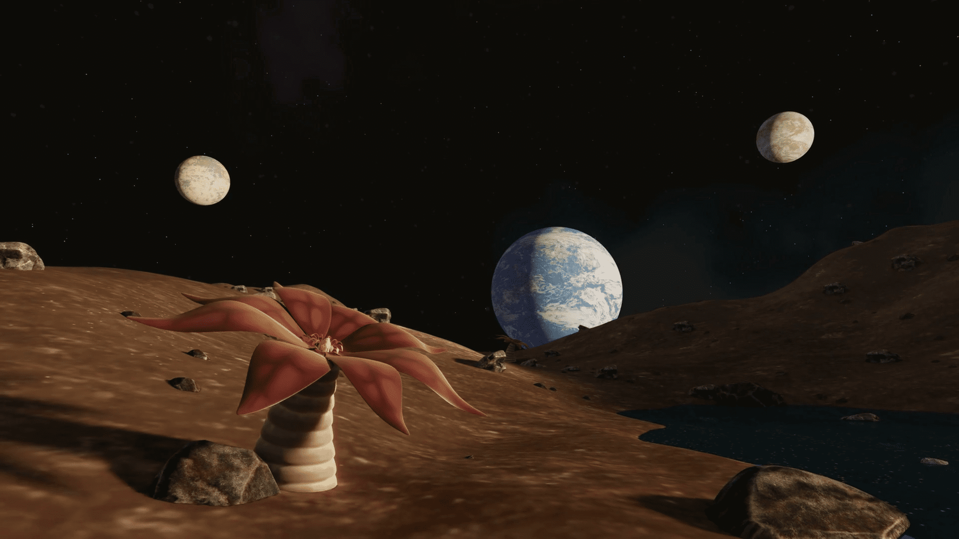 Life in the Universe Facts