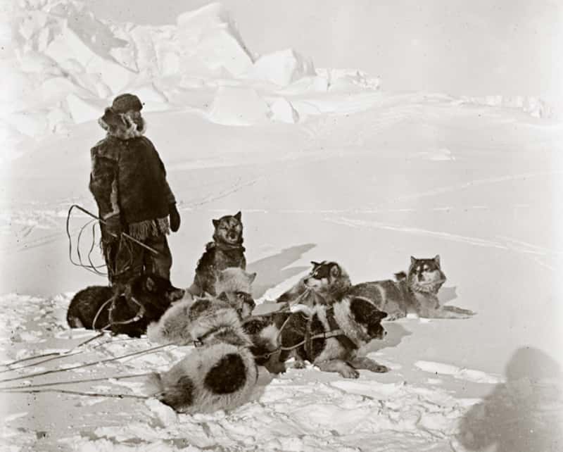 Polar Exploration facts