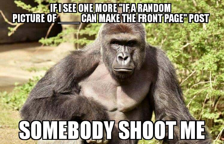 Creepy Art Installations Facts